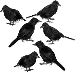6-Pack Halloween Crow Decoration Set