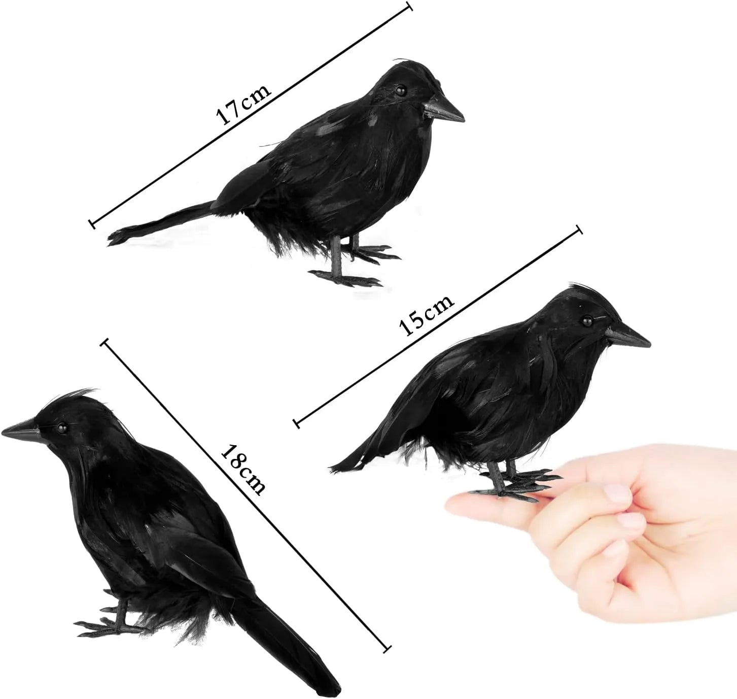6-Pack Halloween Crow Decoration Set