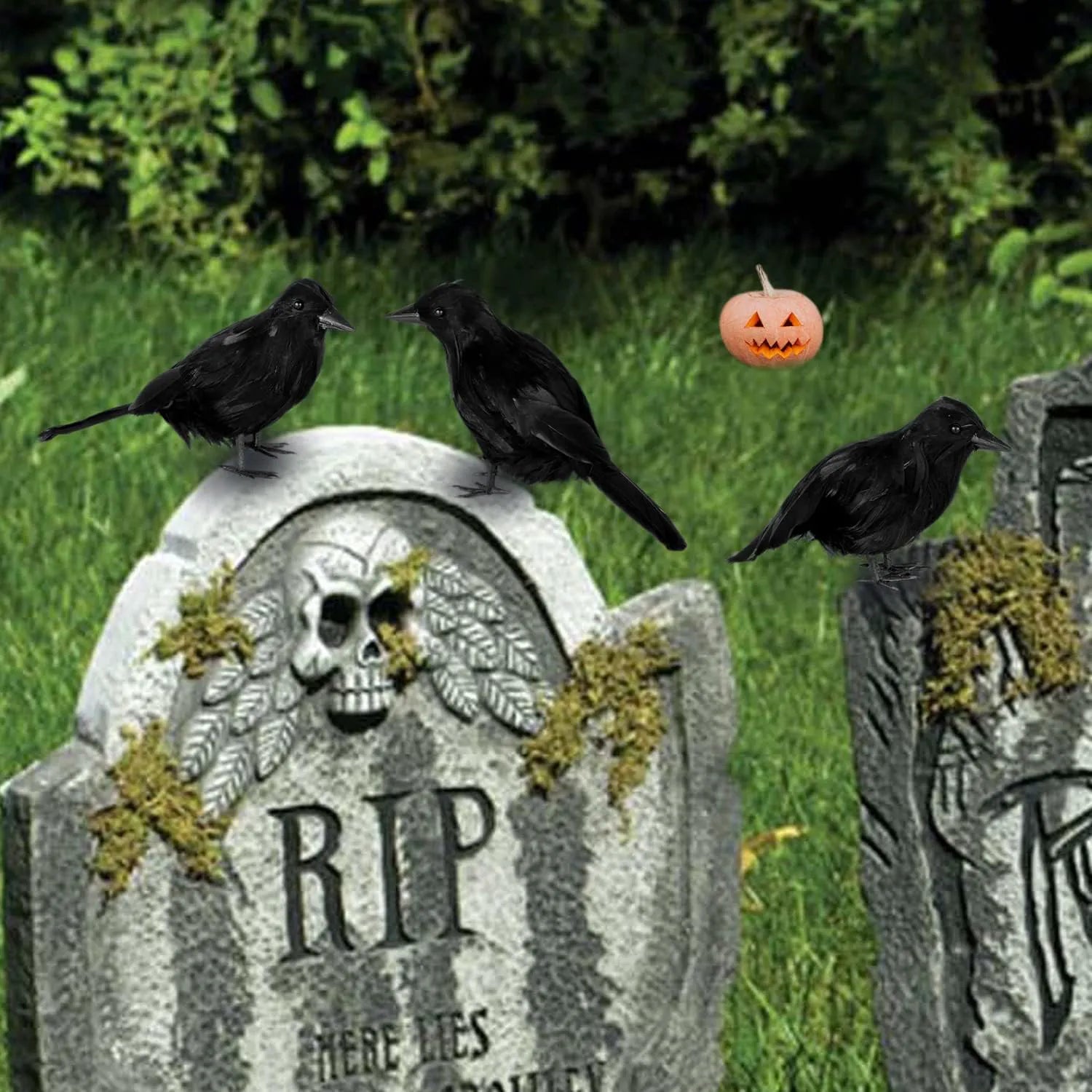 6-Pack Halloween Crow Decoration Set