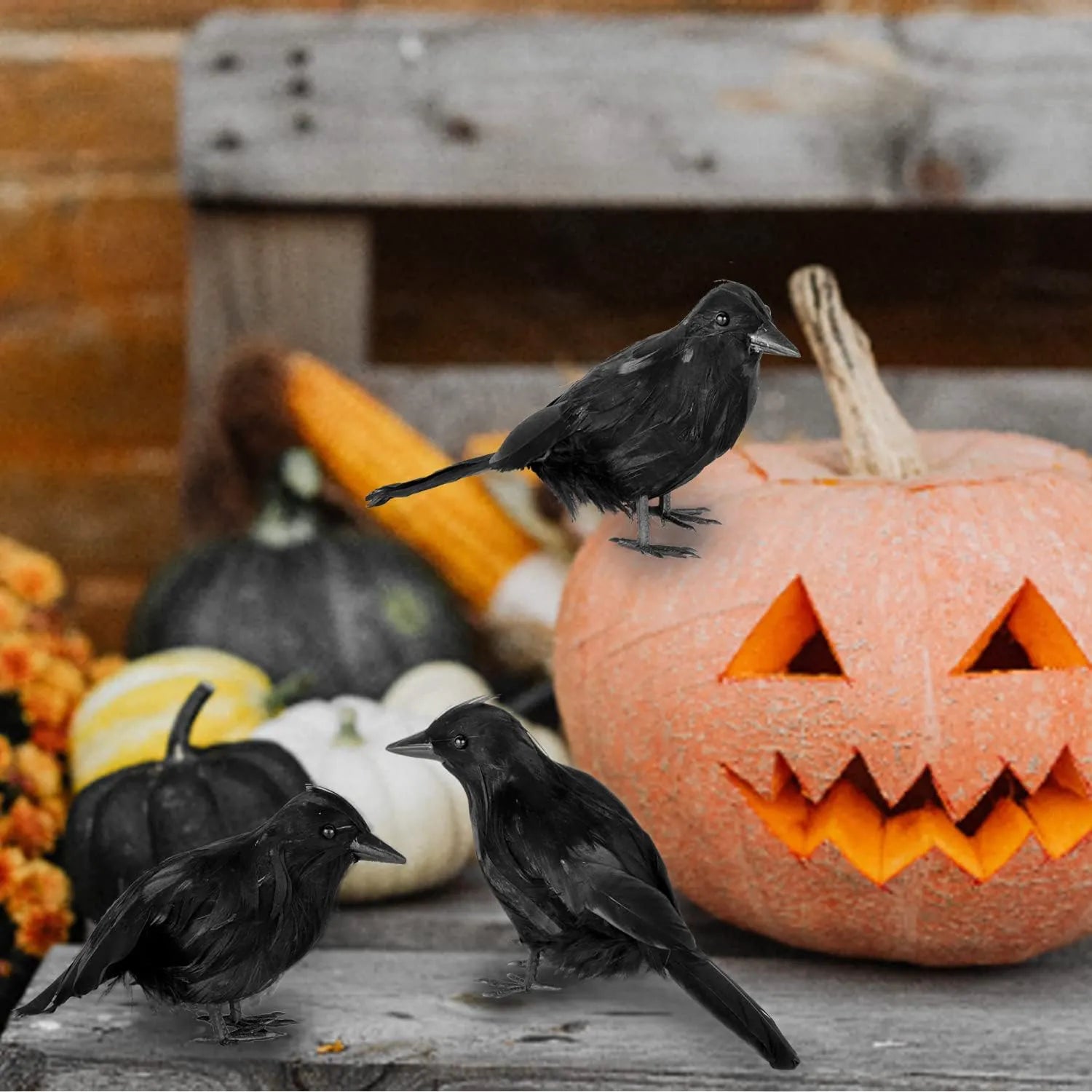 6-Pack Halloween Crow Decoration Set