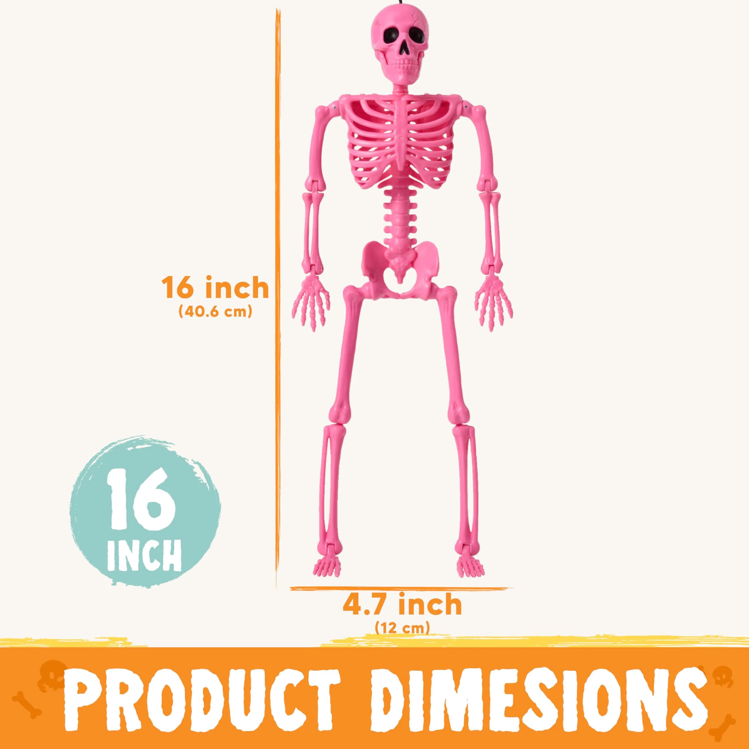 5 Pack Posable Halloween Skeleton Decorations, 16 Inches Each