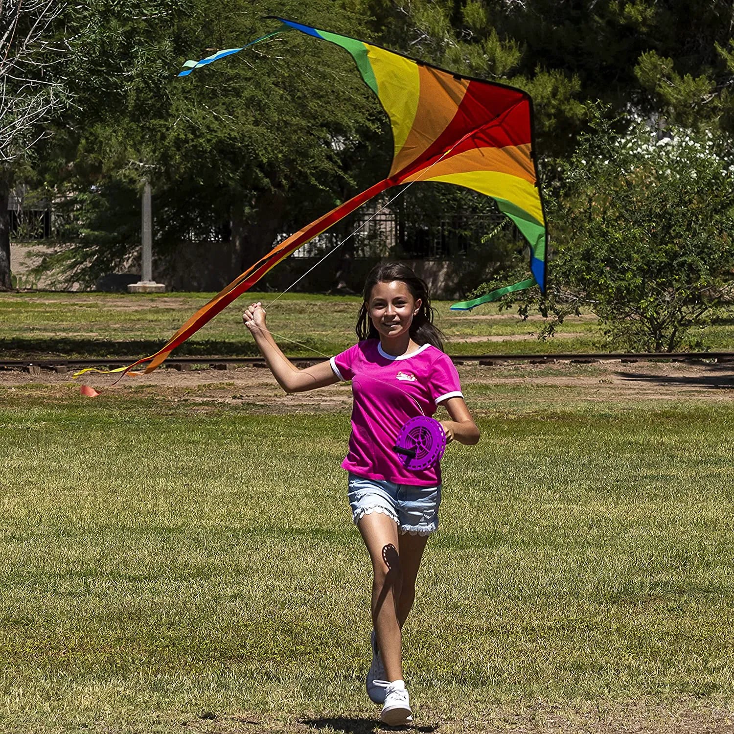 Big Delta Kite 3-Pack (Red, Green, Purple)