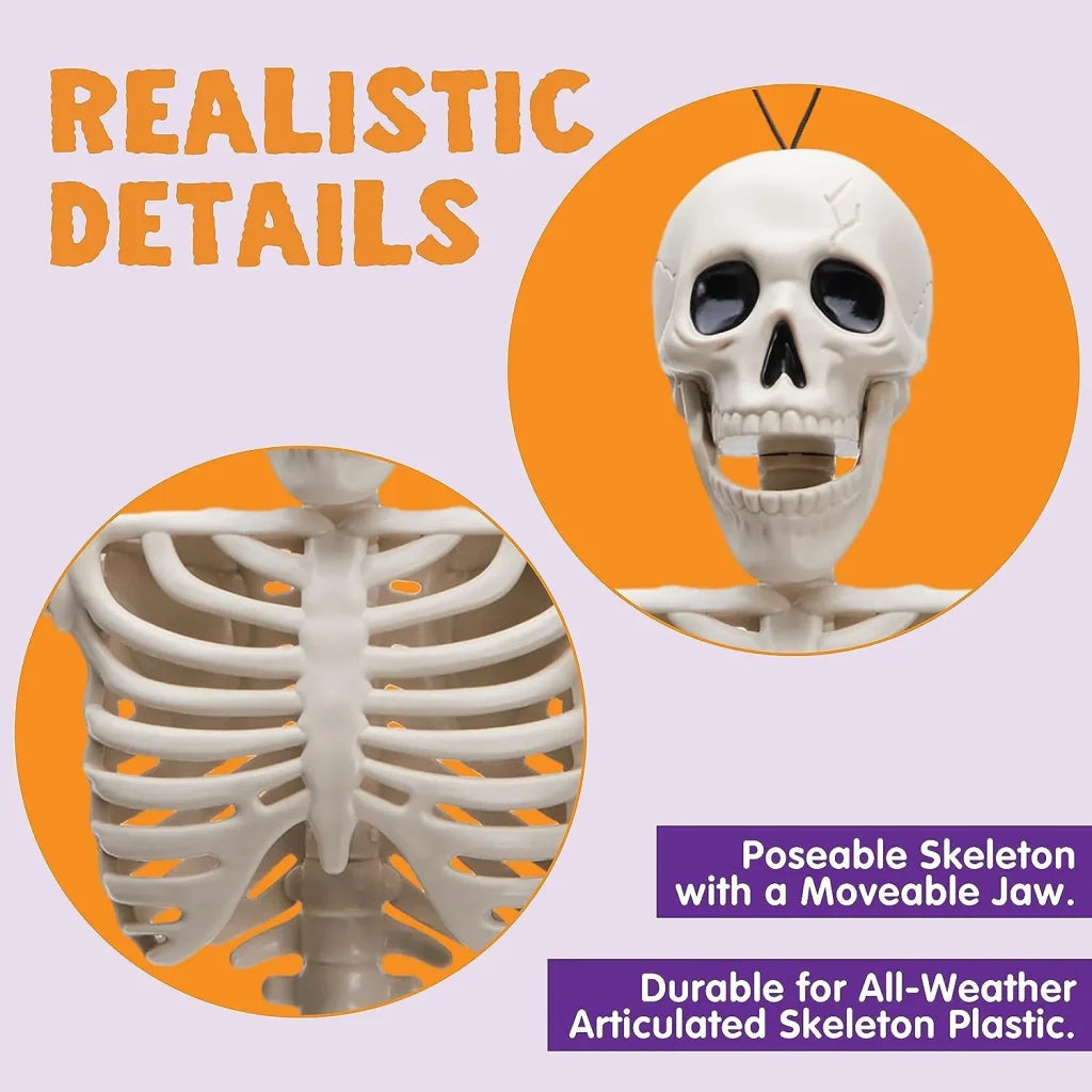 JOIN 10-Pack 16-Inch Halloween Hanging Skeletons (Full Body)
