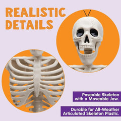 JOIN 10-Pack 16-Inch Halloween Hanging Skeletons (Full Body)