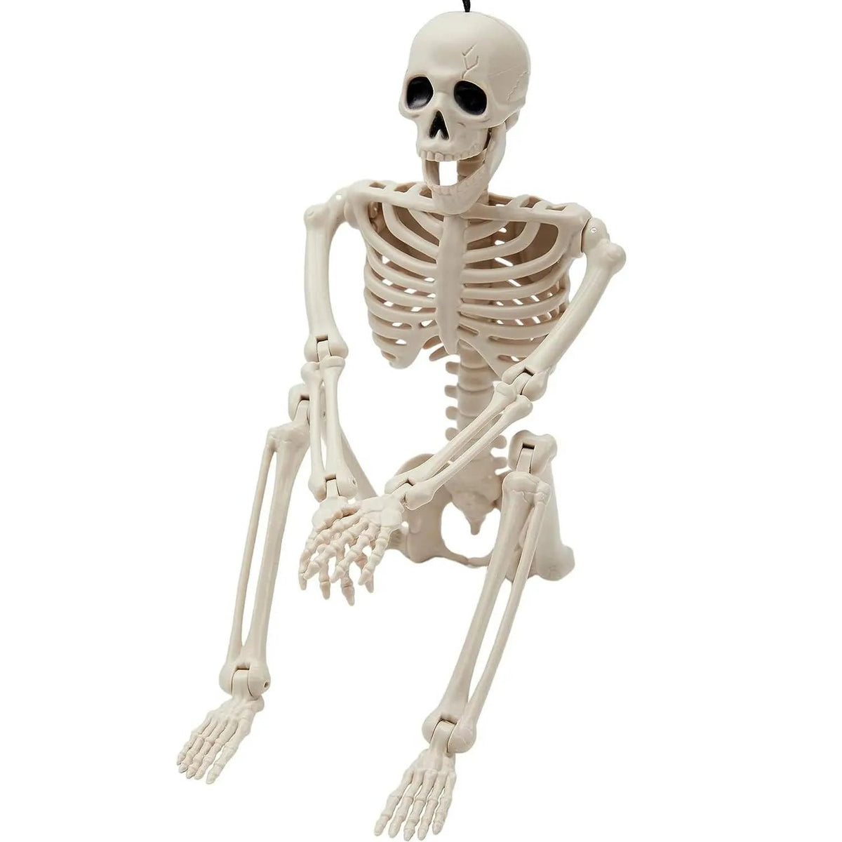 JOYIN 24-Inch Halloween Skeleton - Pose-N-Stay Full Body Plastic Bones