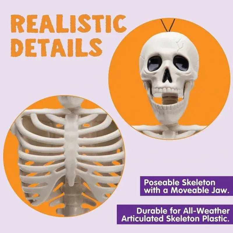 2 PCS 16-Inch Halloween Skeletons with Full Body Posable Joints