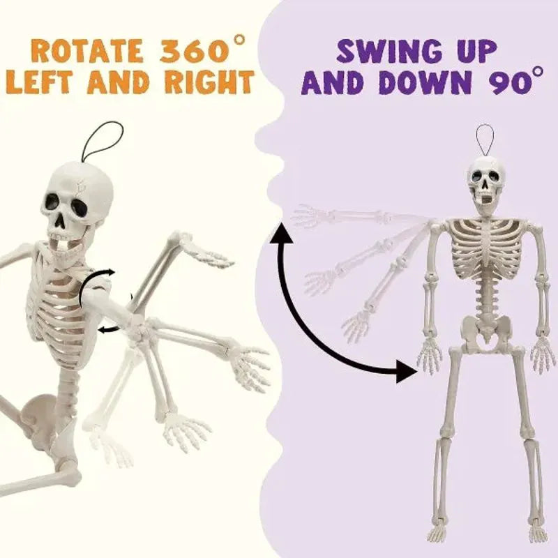 2 PCS 16-Inch Halloween Skeletons with Full Body Posable Joints