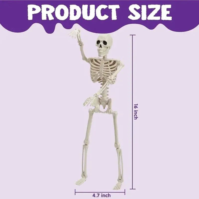 2 PCS 16-Inch Halloween Skeletons with Full Body Posable Joints