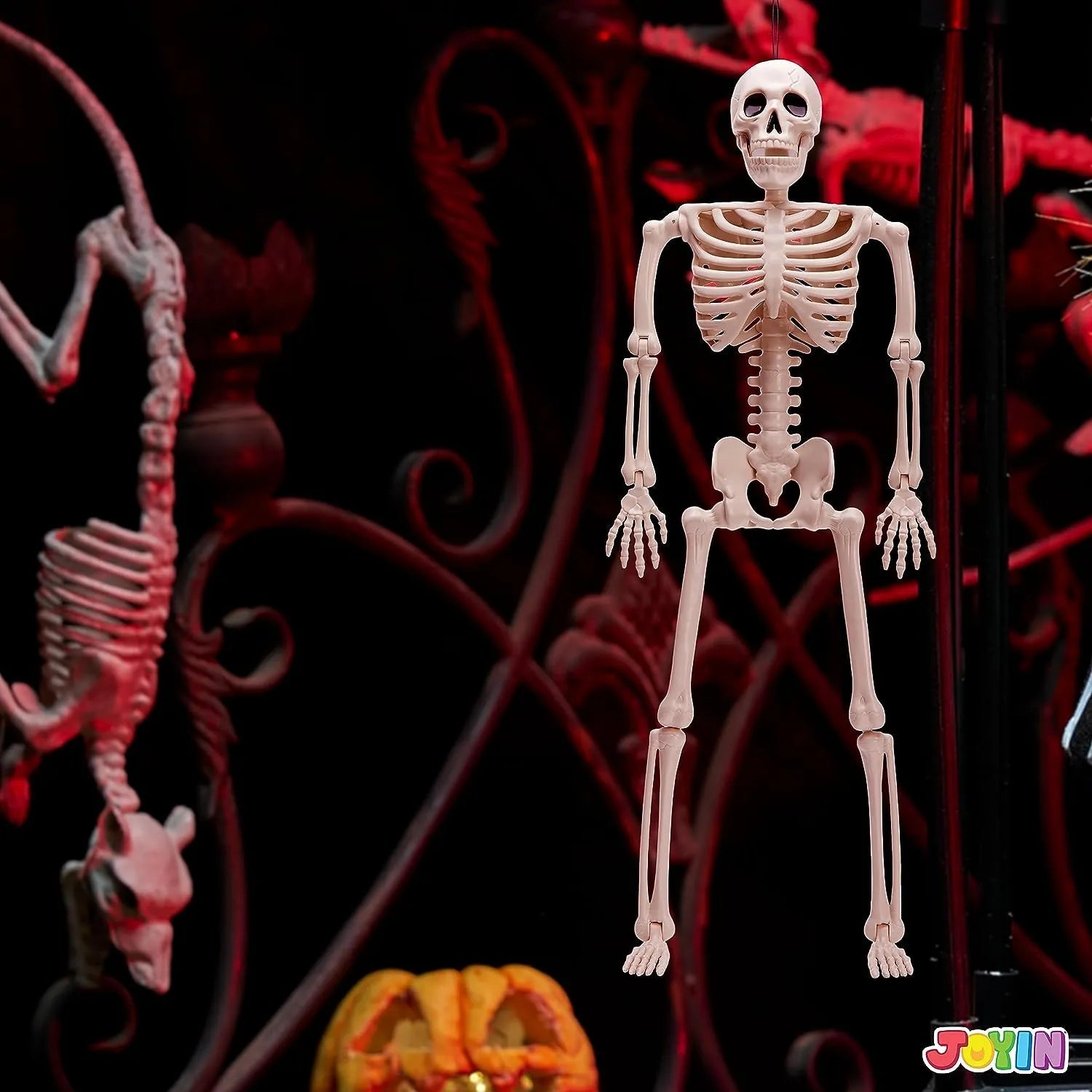 JOIN 3-Pack 16-Inch Halloween Hanging Skeletons with Movable Joints