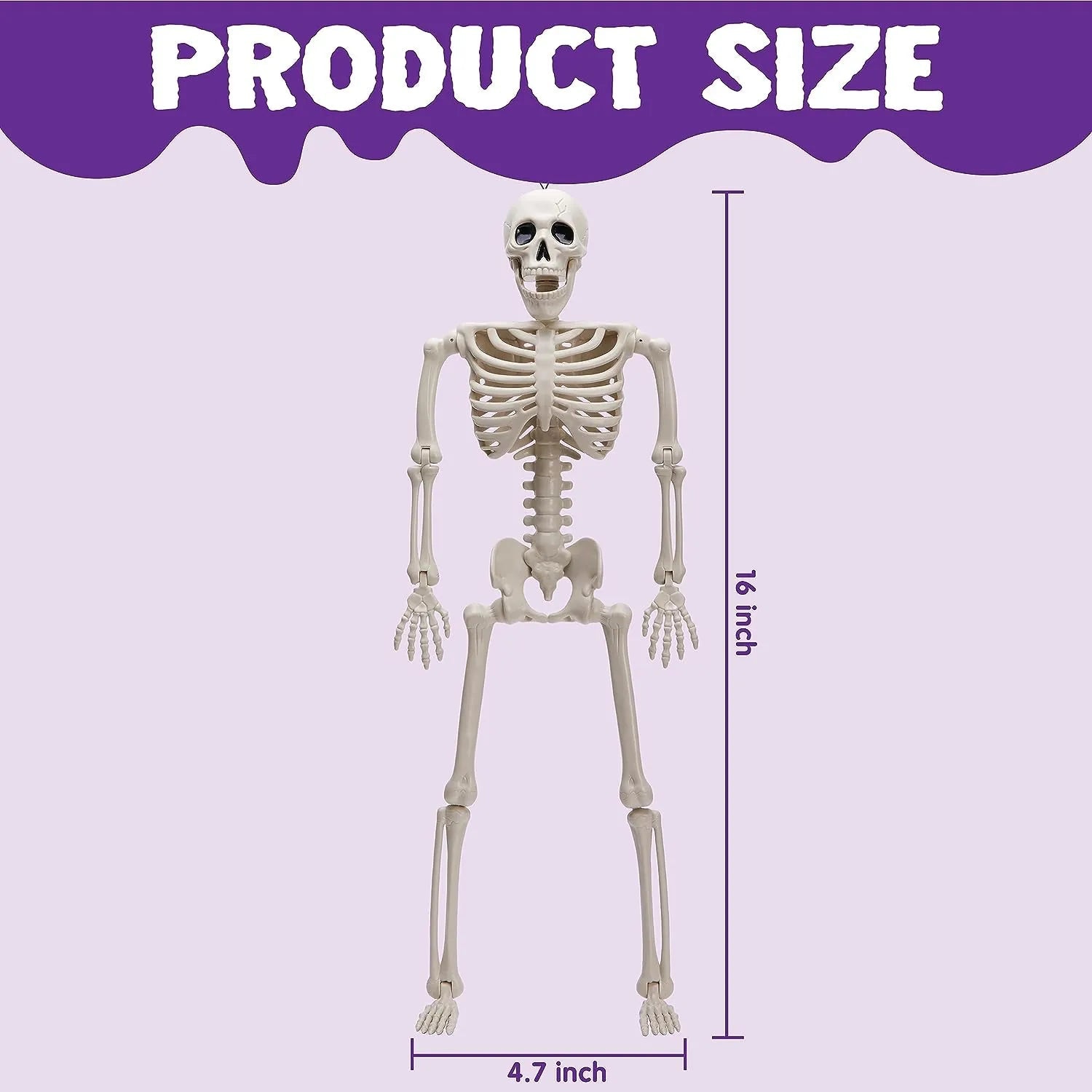 JOIN 3-Pack 16-Inch Halloween Hanging Skeletons with Movable Joints