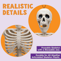 5 PCS Posable Halloween Skeletons, 16 Inches Full Body with Posable Joints
