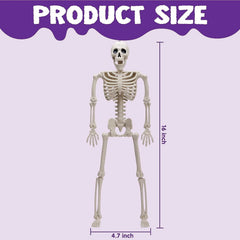 5 PCS Posable Halloween Skeletons, 16 Inches Full Body with Posable Joints