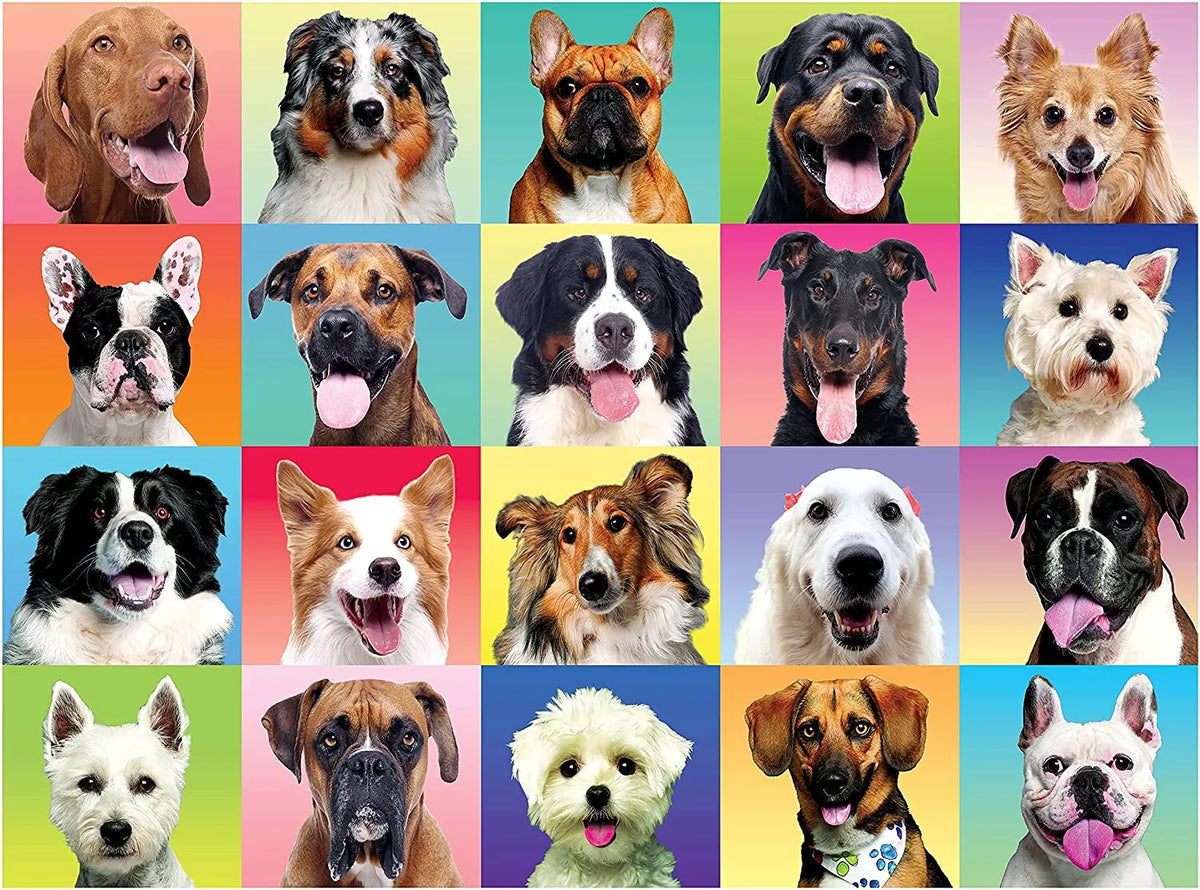 Multicolor Dogs Jigsaw Puzzle, 300 Pieces