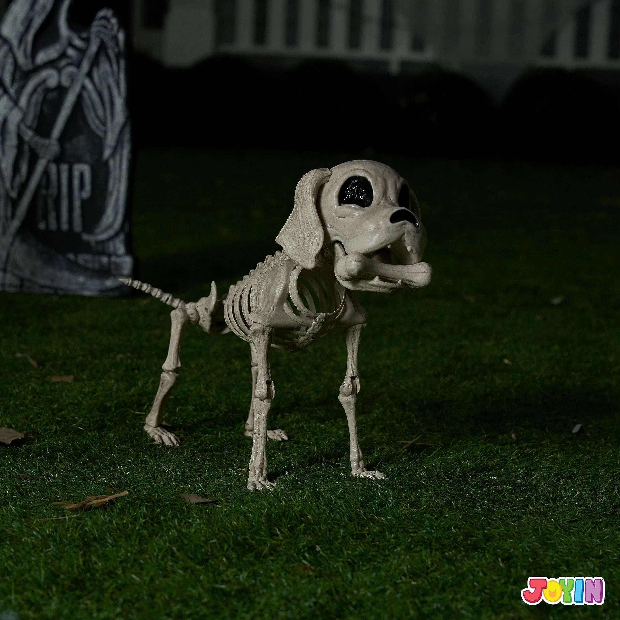 Posable Halloween Dog Skeleton with Full Body Joints - Skeleton Puppy
