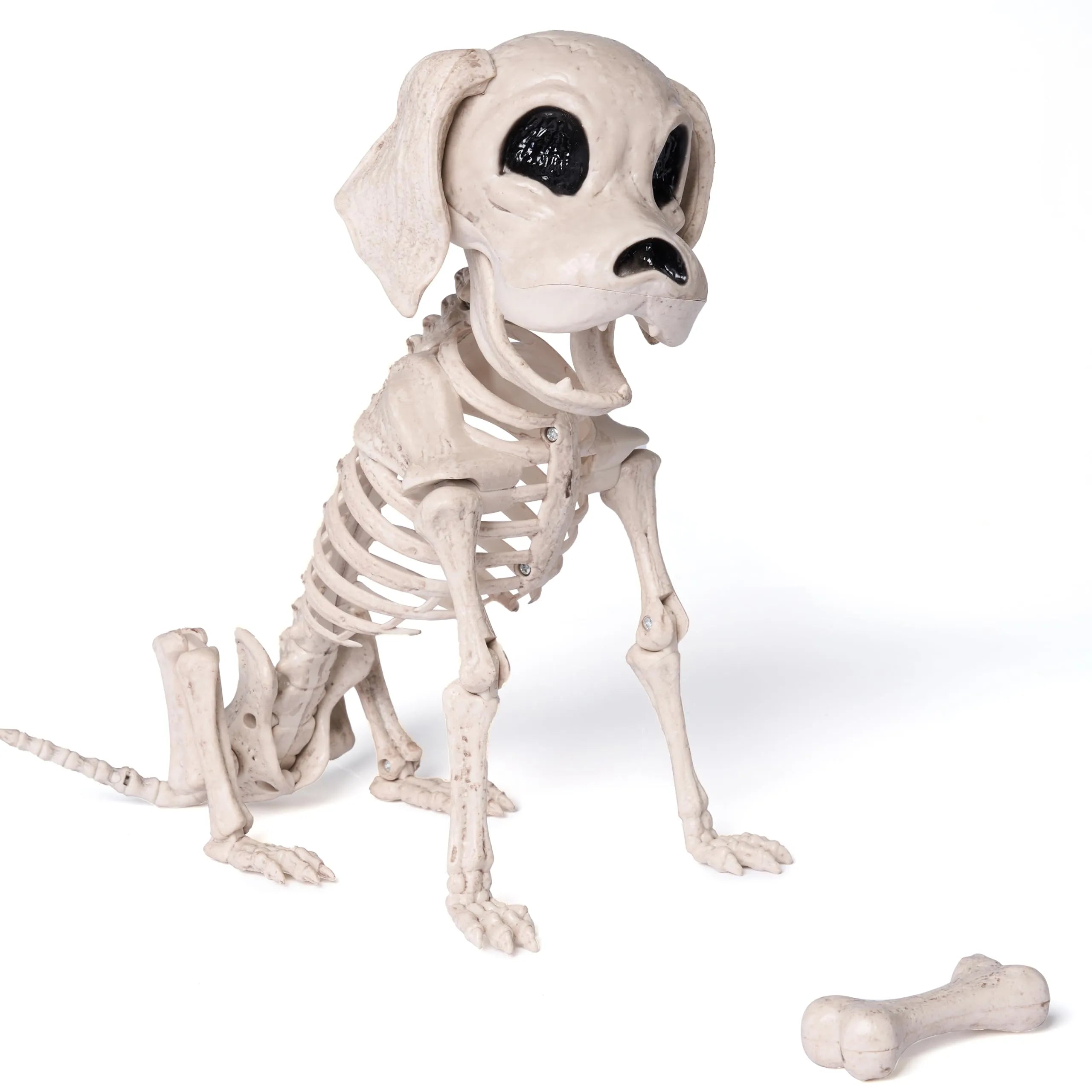 Posable Halloween Dog Skeleton with Full Body Joints - Skeleton Puppy