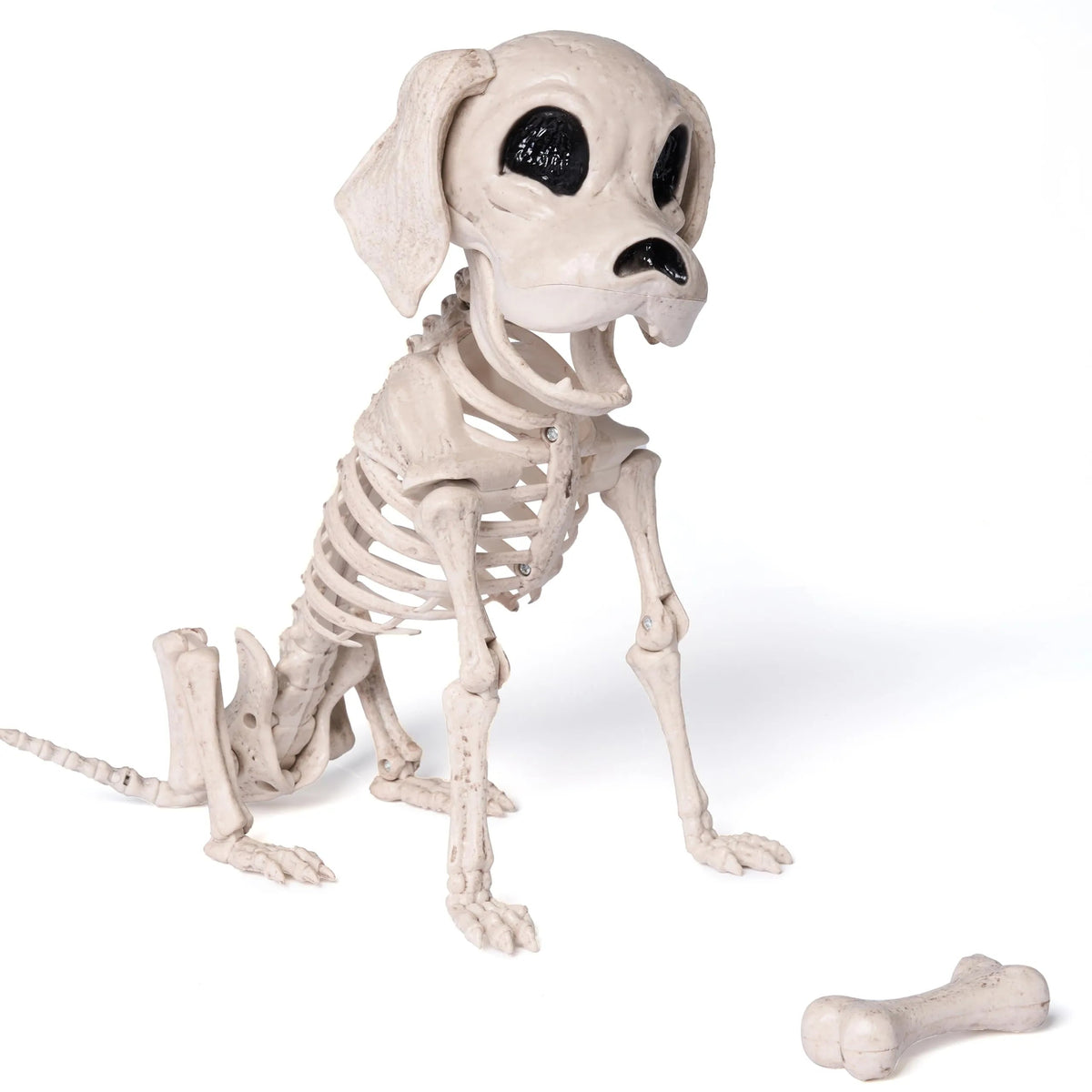 Posable Halloween Dog Skeleton with Full Body Joints - Skeleton Puppy