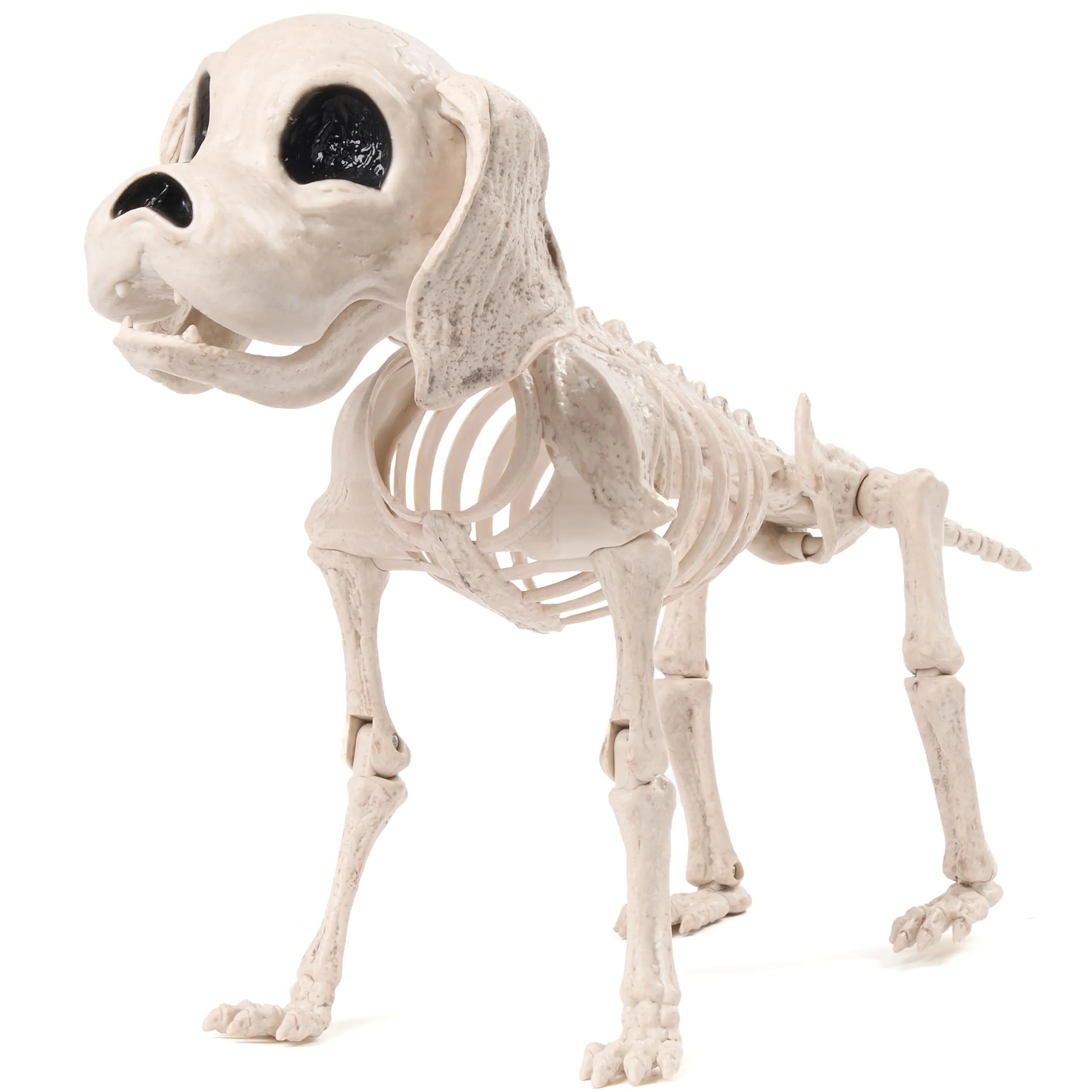 Posable Halloween Dog Skeleton with Full Body Joints - Skeleton Puppy