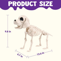 Posable Halloween Dog Skeleton with Full Body Joints - Skeleton Puppy