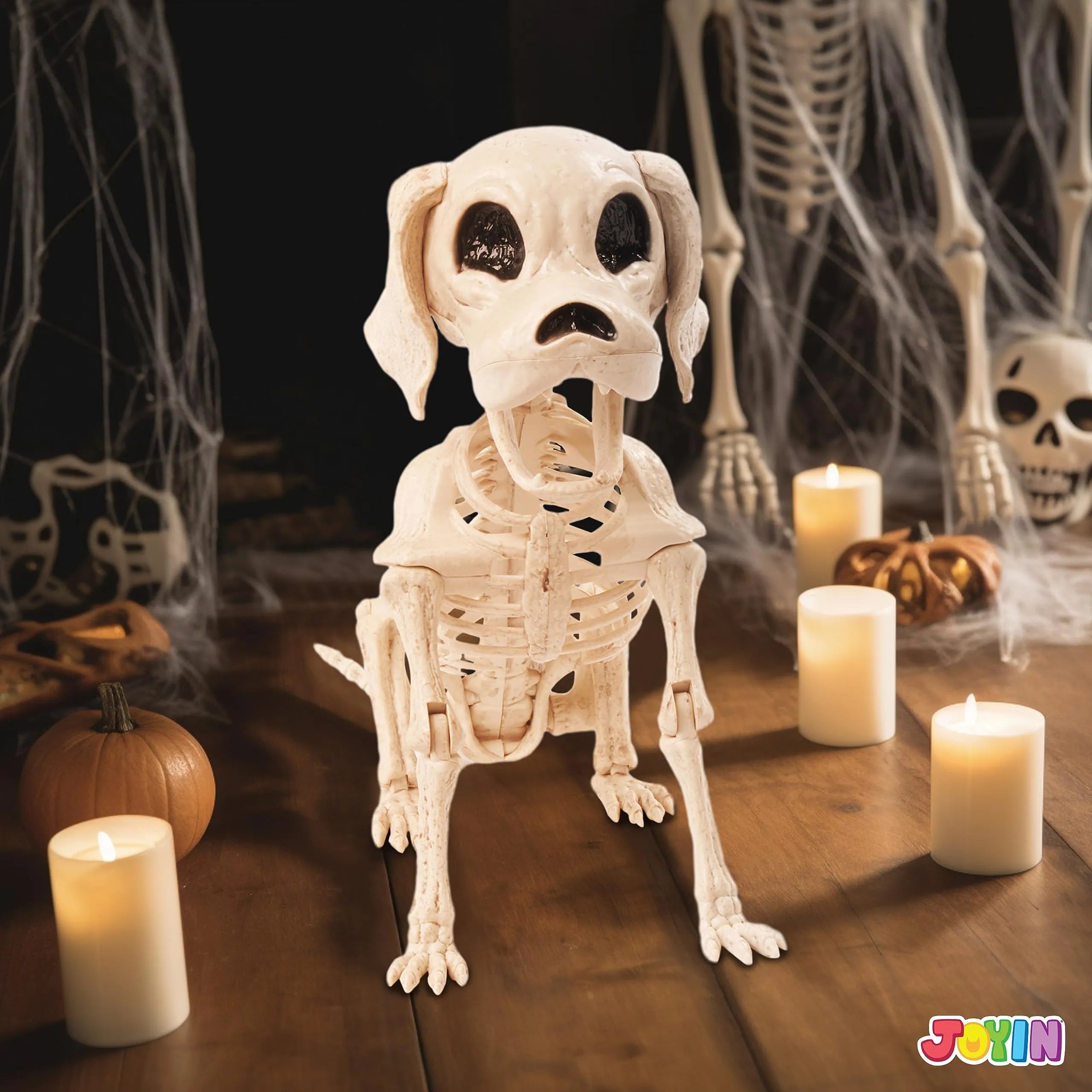 Posable Halloween Dog Skeleton with Full Body Joints - Skeleton Puppy