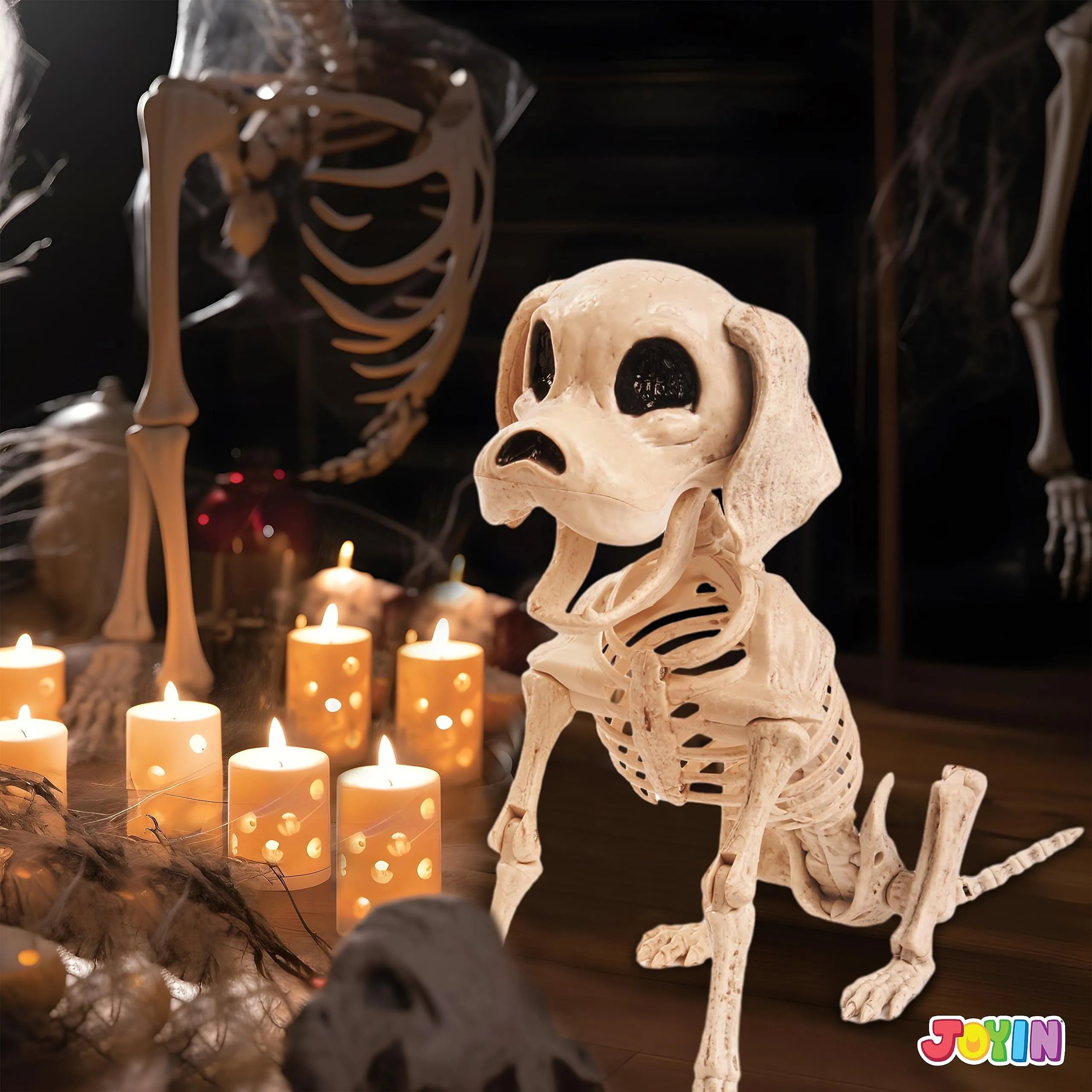 Posable Halloween Dog Skeleton with Full Body Joints - Skeleton Puppy