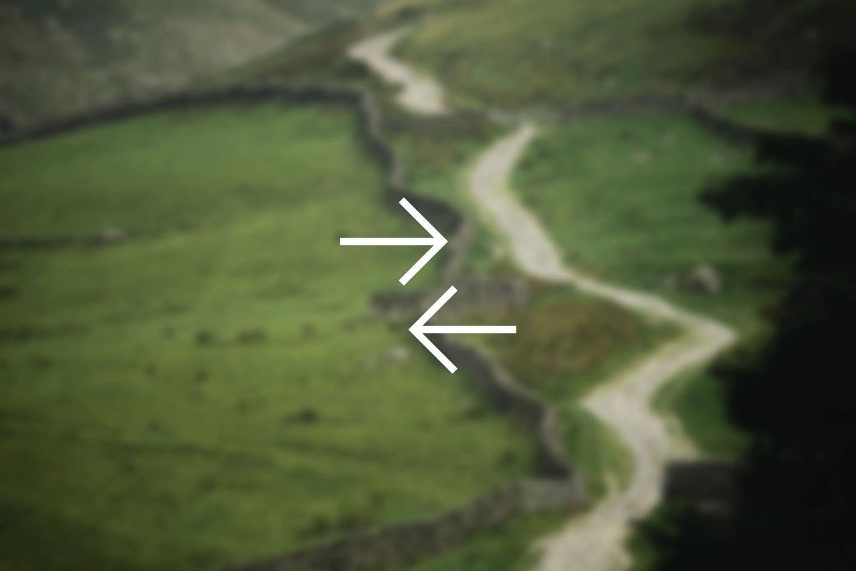 2XS
